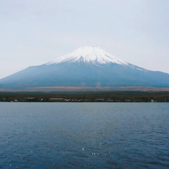 PMI_Japan_550x550_01