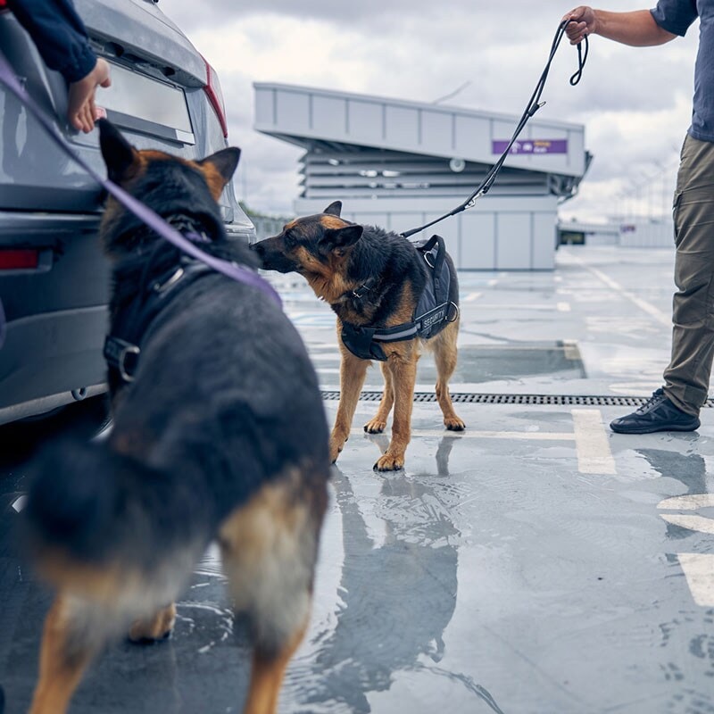 Illicit trade square