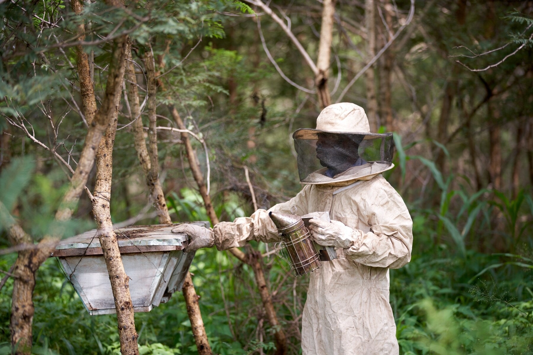 A farmer in Malawi tending his hives