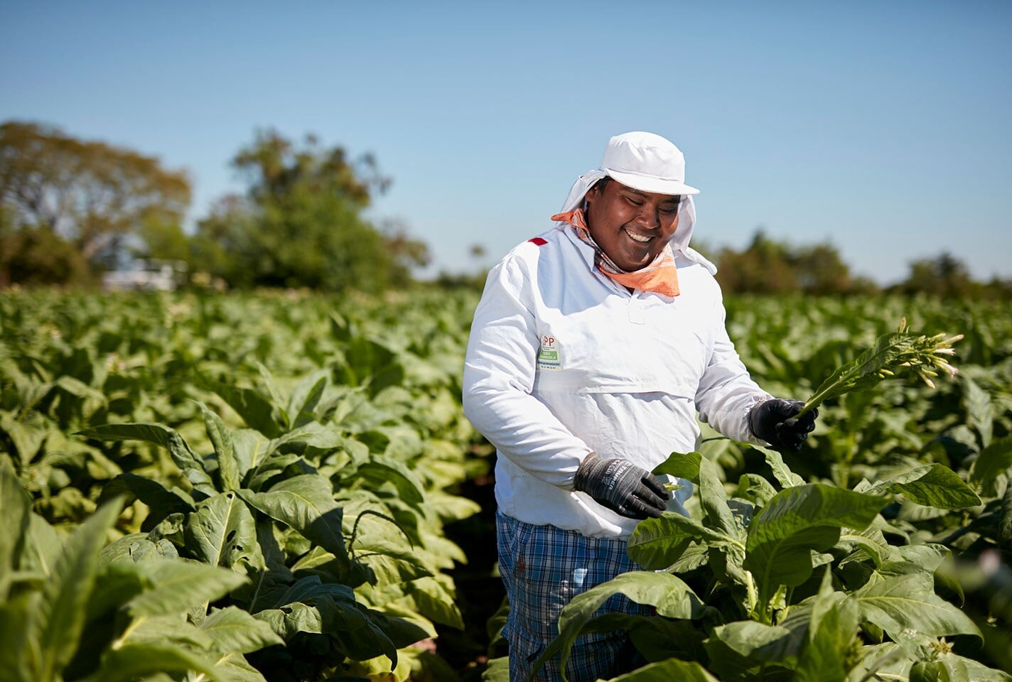 brazil-farm-worker-web