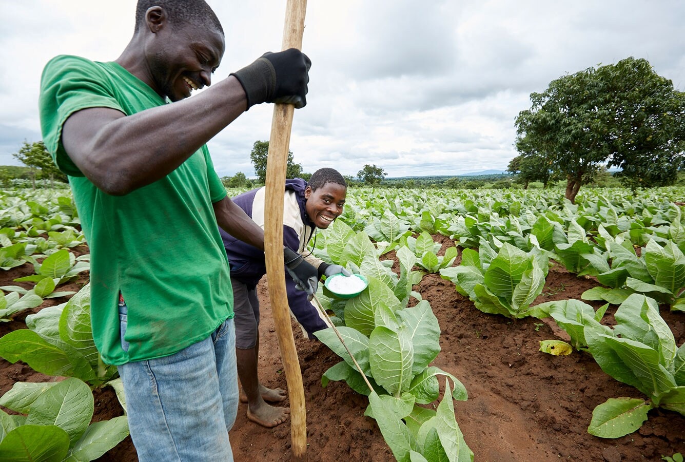 Farm-mozambique-fertilizer-web
