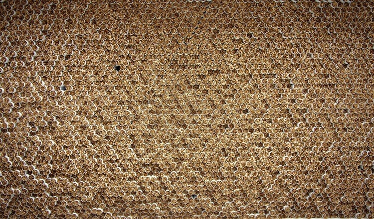 Prevent illicit trade Mexico