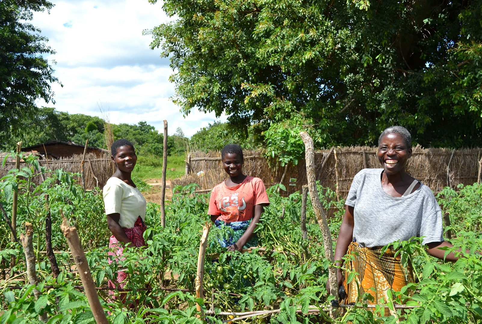 1-malawi_hero_1780x1200-crop