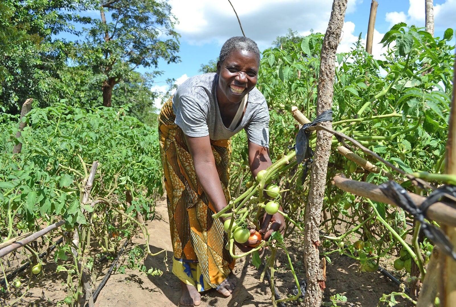 2-malawi_hero_1780x1200-crop