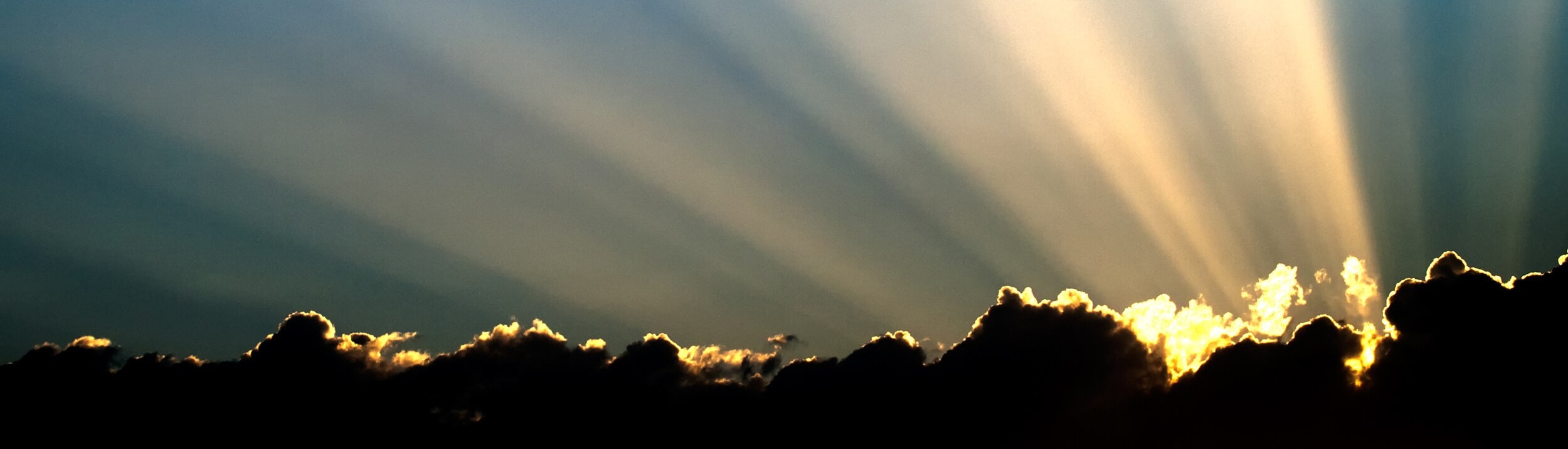 White Paper Trust banner