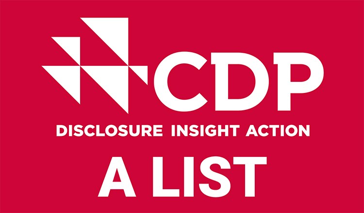 CDP TRIPLE stamp 2020 thumbnail CDP TRIPLE stamp 2020 thumbnail