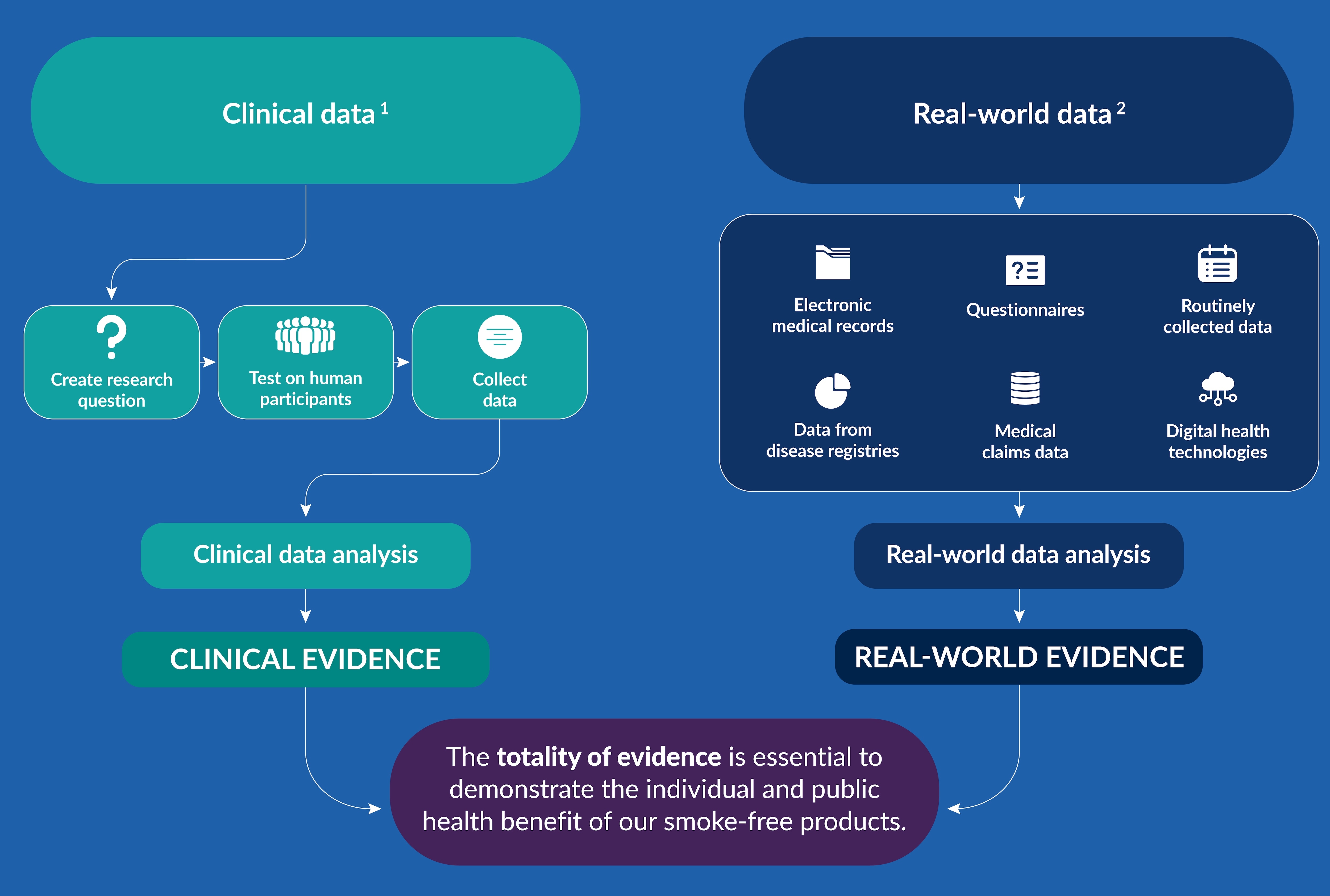 C23031 - Chief Medical Officer page - infographics - Feb 2024 update v3