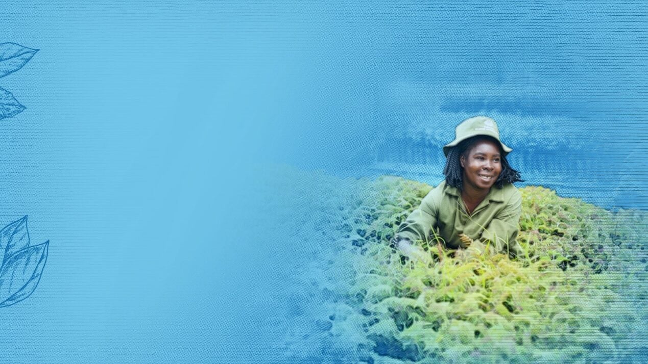 ALP blue background 2 desktop