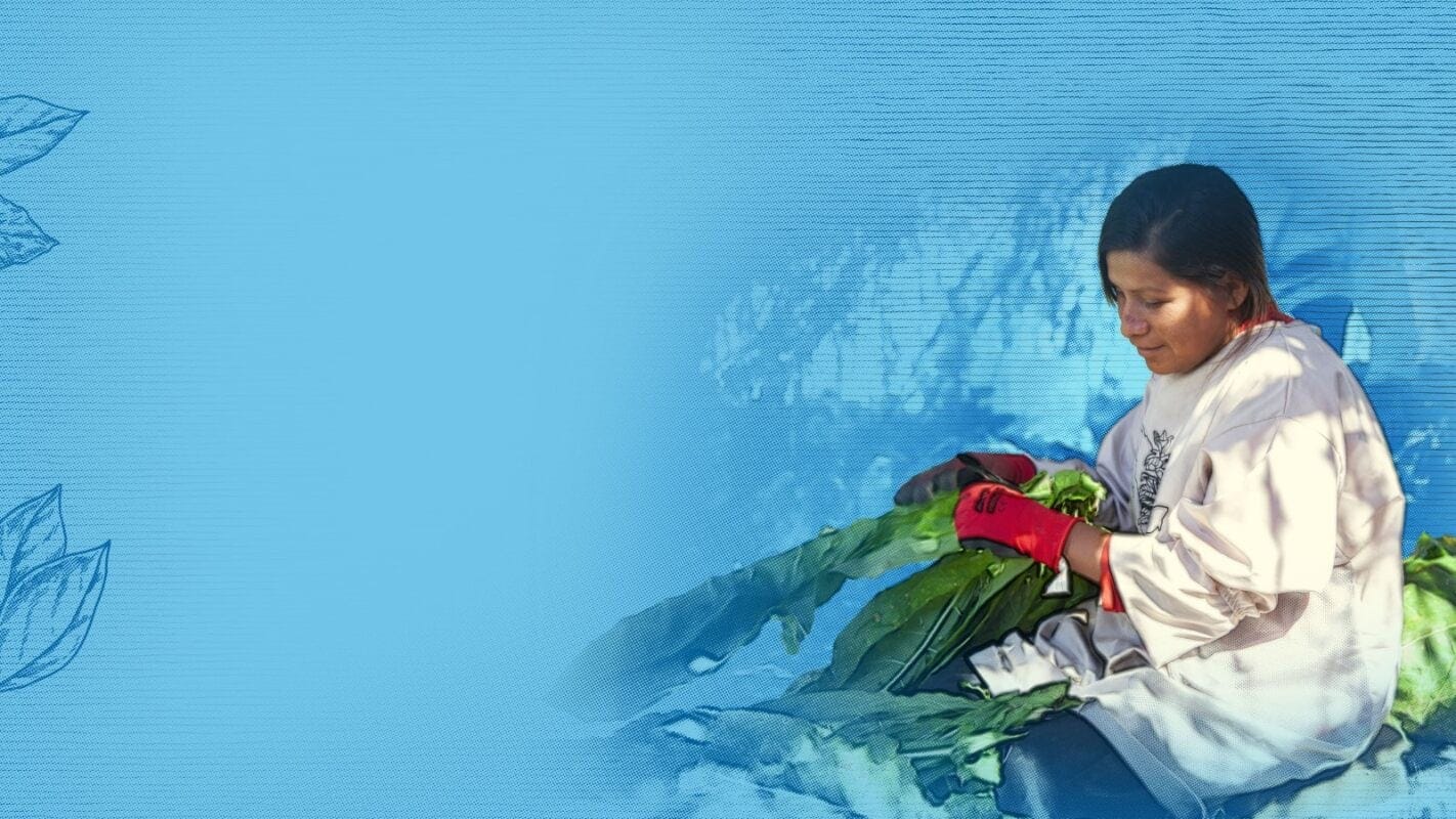 ALP blue background desktop