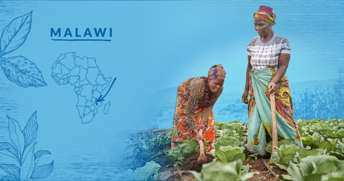 Malawi case study