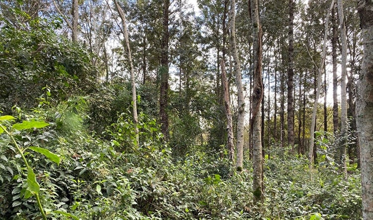 Global Goals Yearbook - Image 2 - Thumb