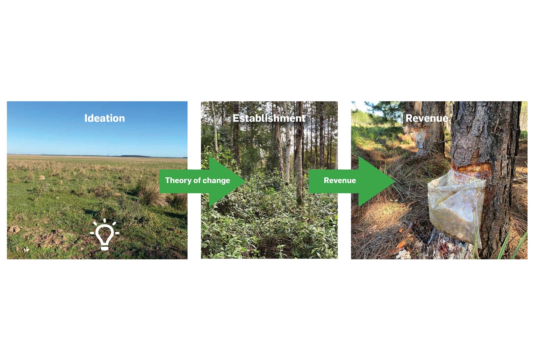 Global Goals Yearbook - Infographic 4 - Hero