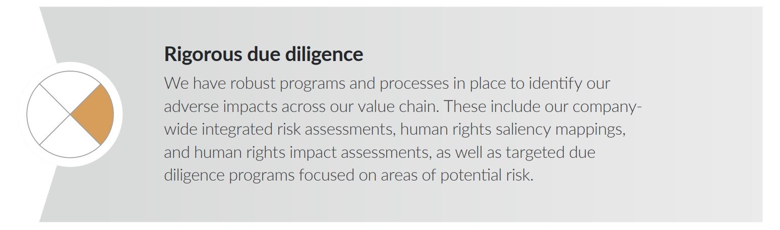 rigorous due diligence rigorous due diligence