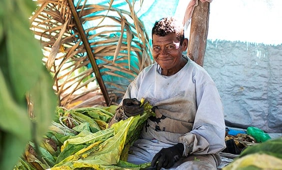 img_pmi_ALP_step_change_nayarit_thumb_v2