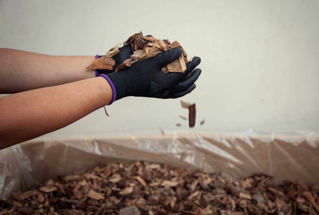 eliminating-coal-web