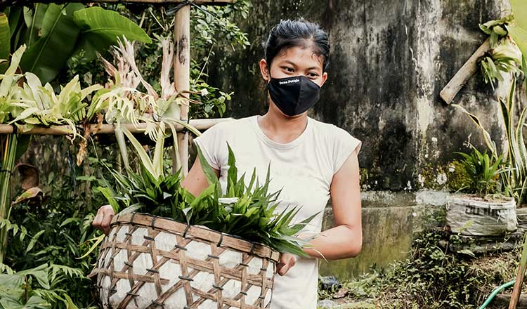 forest-conversavation-progress-A-thumbnail