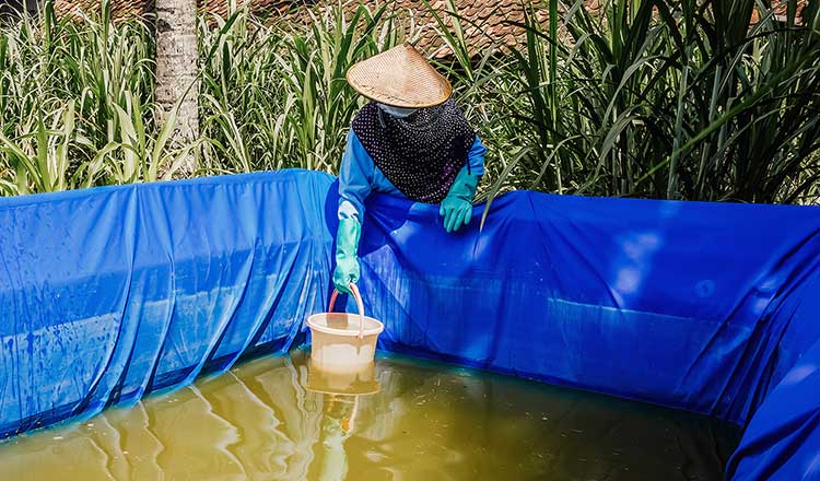 water-stewardship-progress-thumbnail