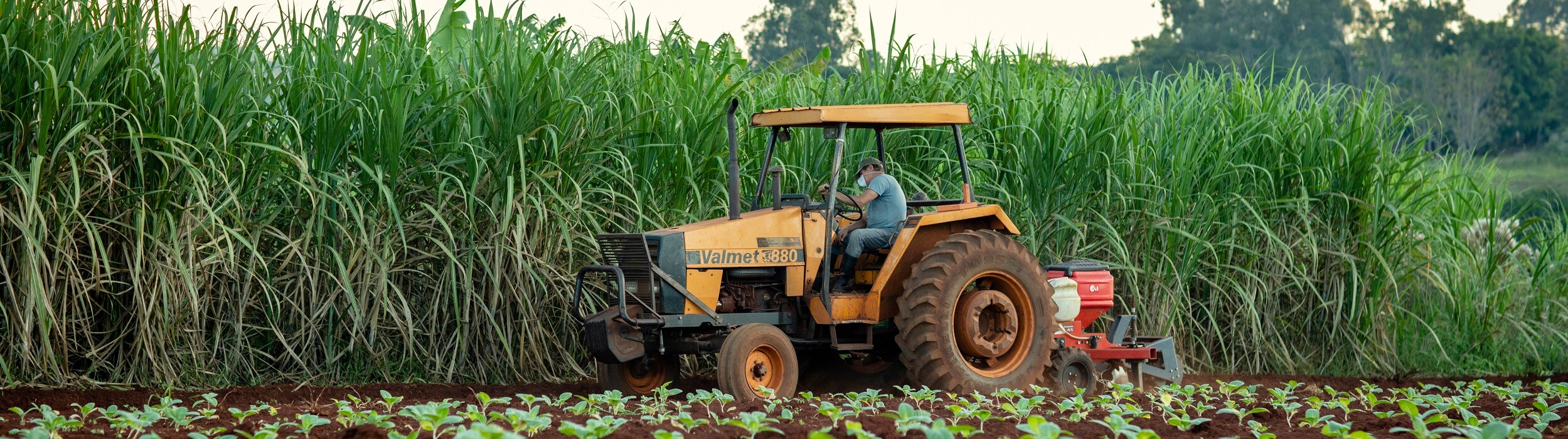 Argentina-farm-banner