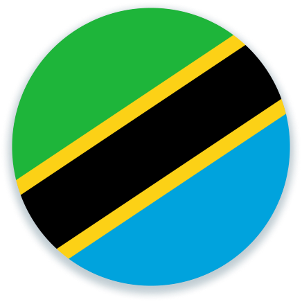 Tanzania flag