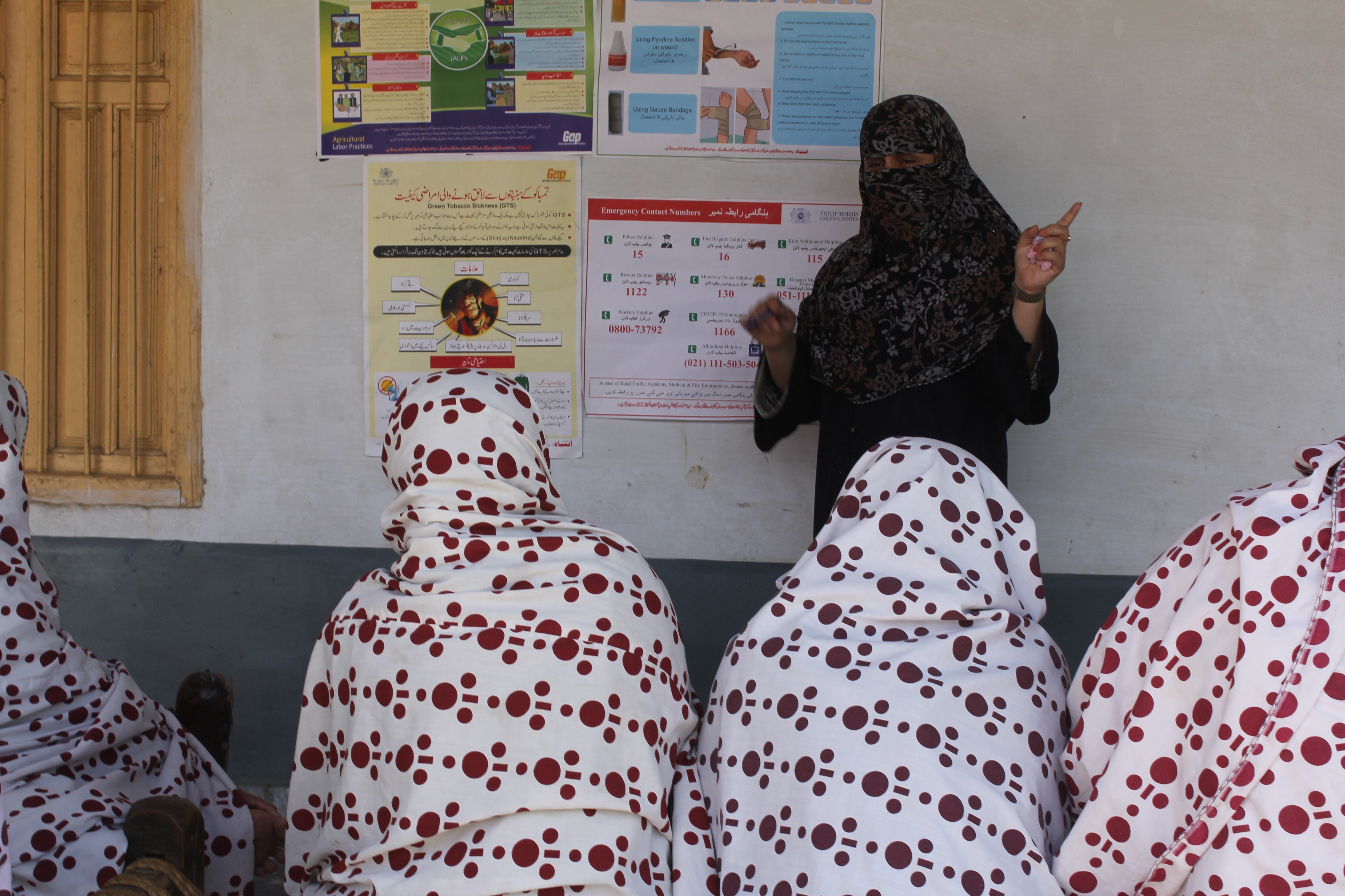 Women and farming in rural Pakistan