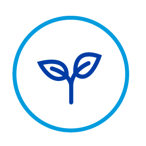 PMI_Megatrends_Capitals icons_Blues-06