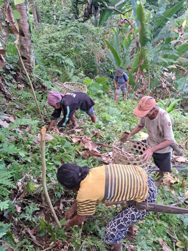 Philippines planting reforestation