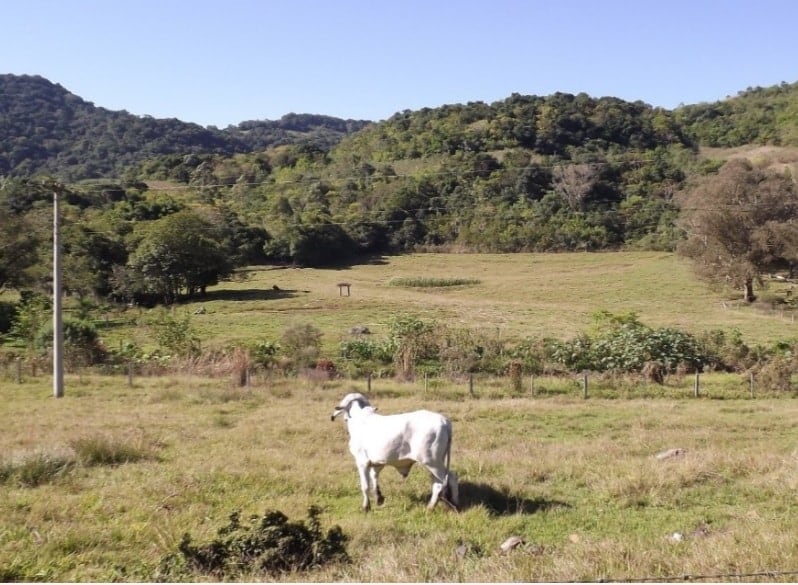 Pre-project evidence from Spring 2018