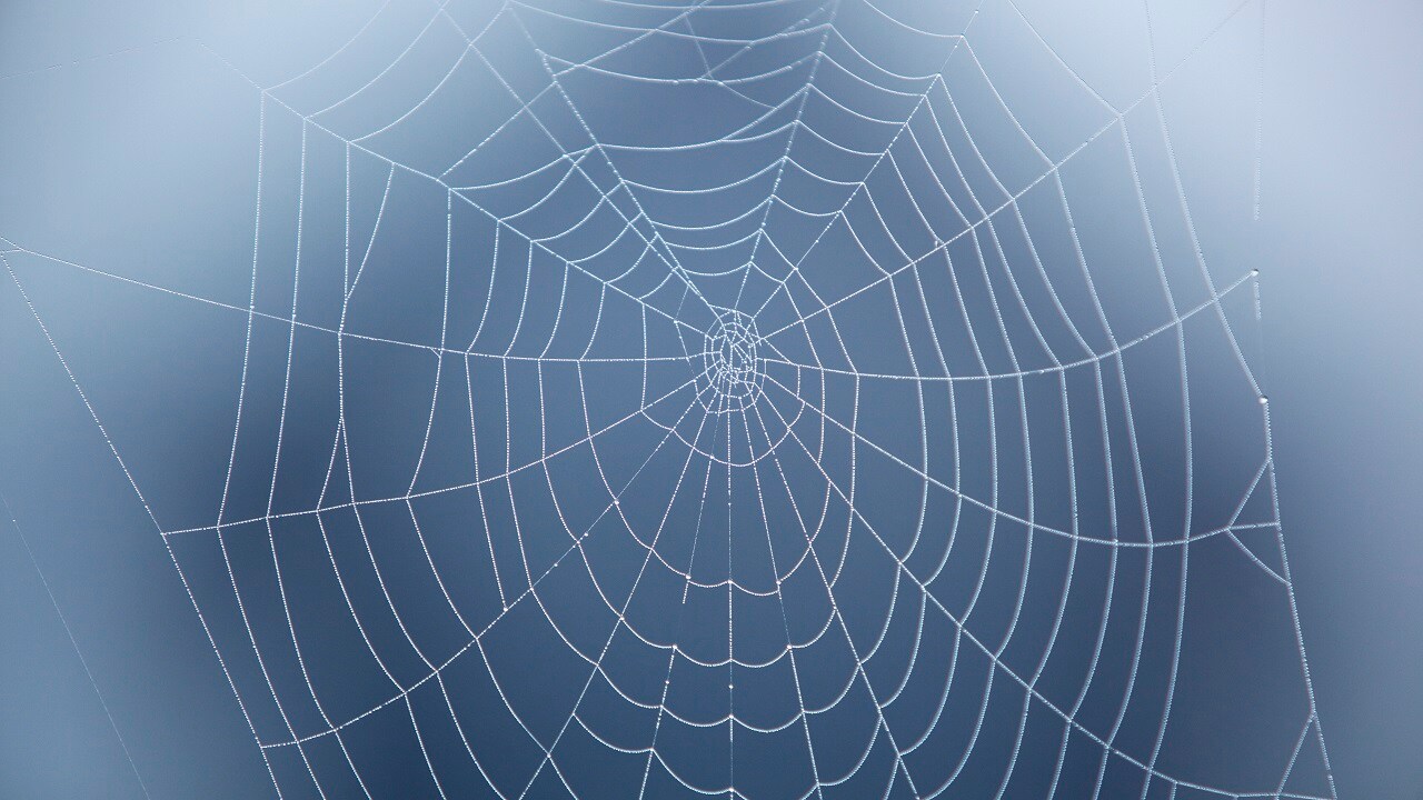 Web of crime landscape