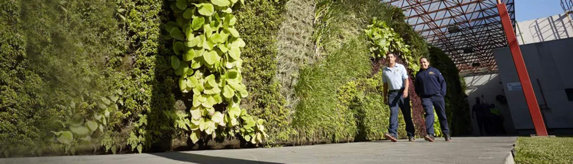 mexico-manufacturing-facility-banner