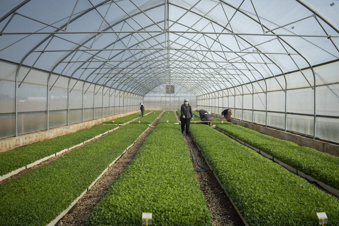Sustainability 2