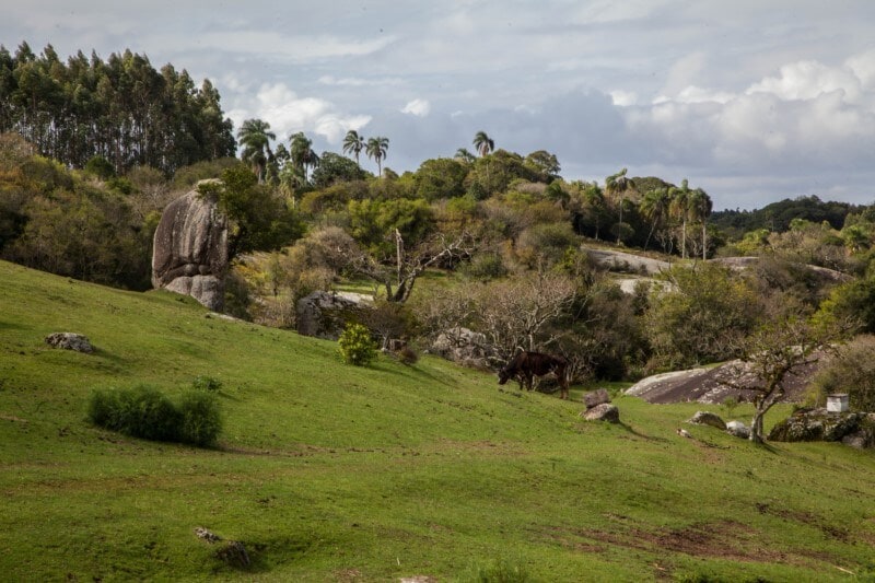 Marian article climate