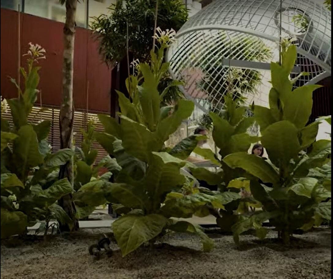 how are we sustainable