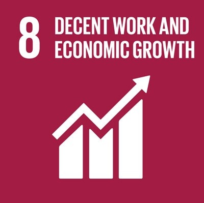 SDG8 SDG8
