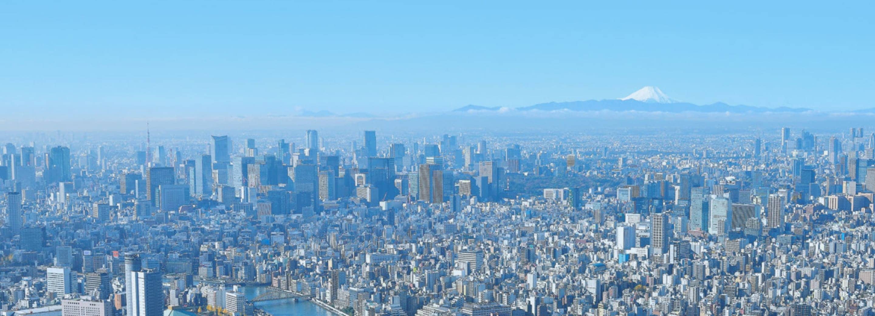 smokefreejapan-banner-wide