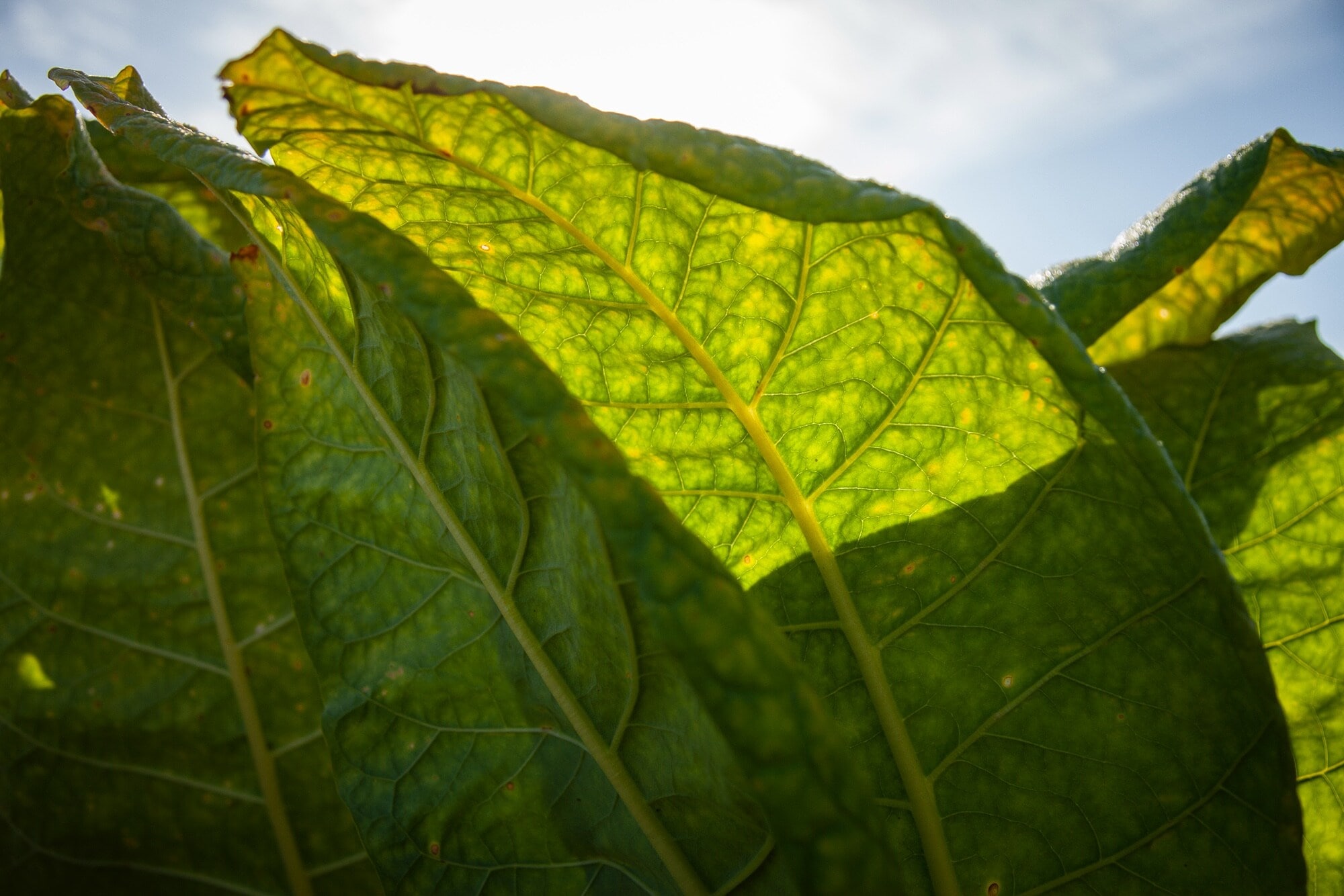 sustainability-03