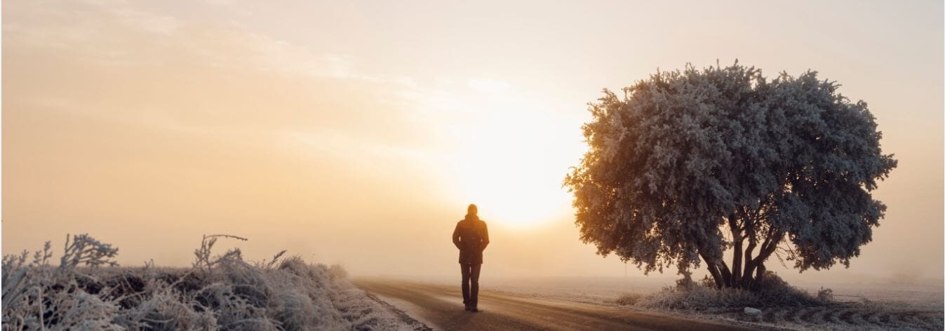 Banner Nordics Sustainability Report man silhouette 