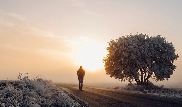 Nordics Sustainability Report 2020 thumbnail