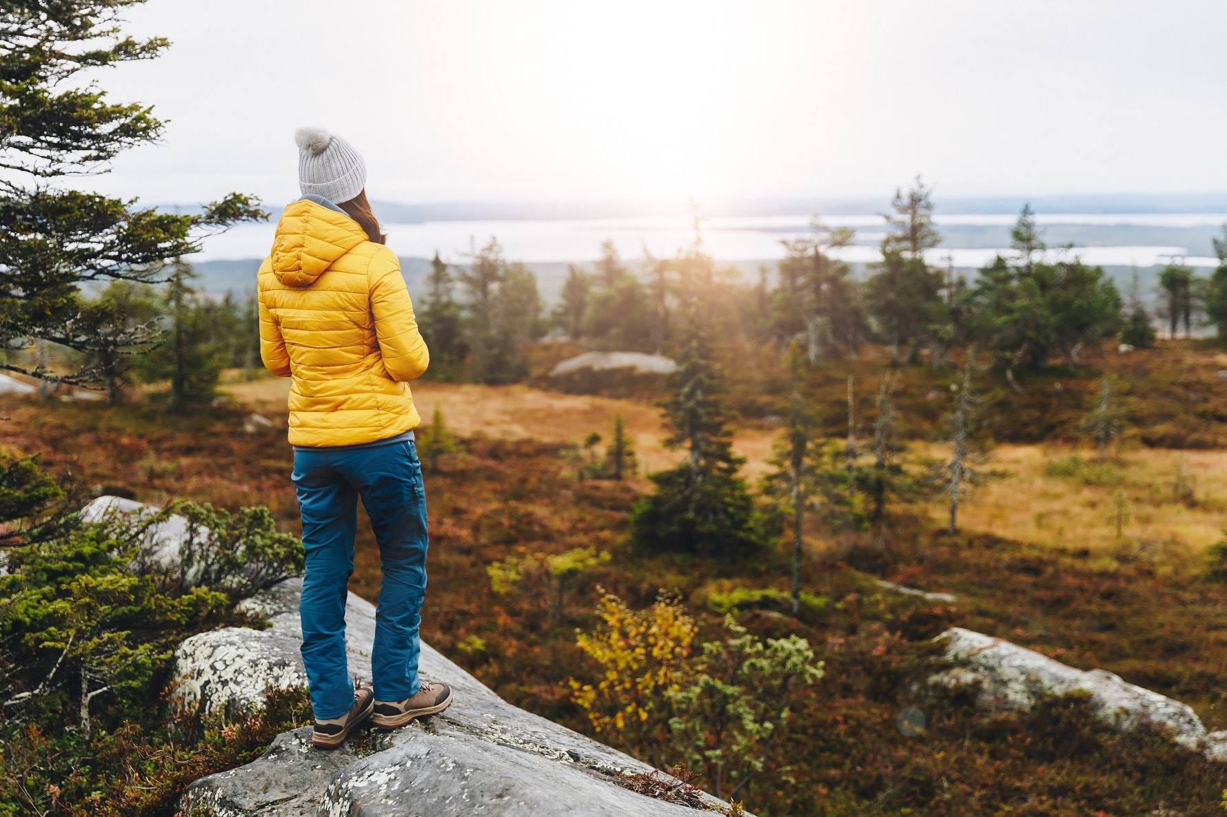 Sweden sustainability article landscape 2