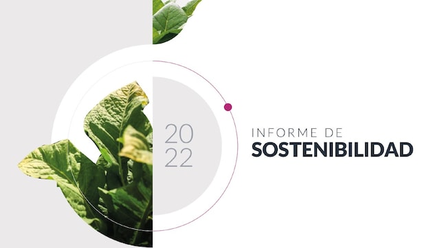 Informe 2022 Sostenibilidad cover