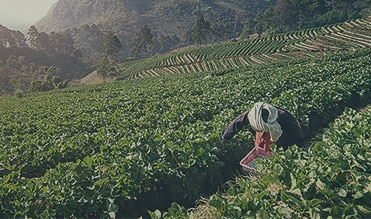 Philip Morris International welcomes the ratification of the WHO Anti-Illicit Trade Protocol by the European Union and calls for swift ratification by the Member States.