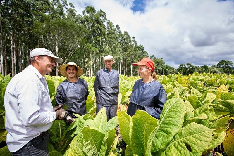 A field technician and tobacco farmers in San Vicente, Argentina.