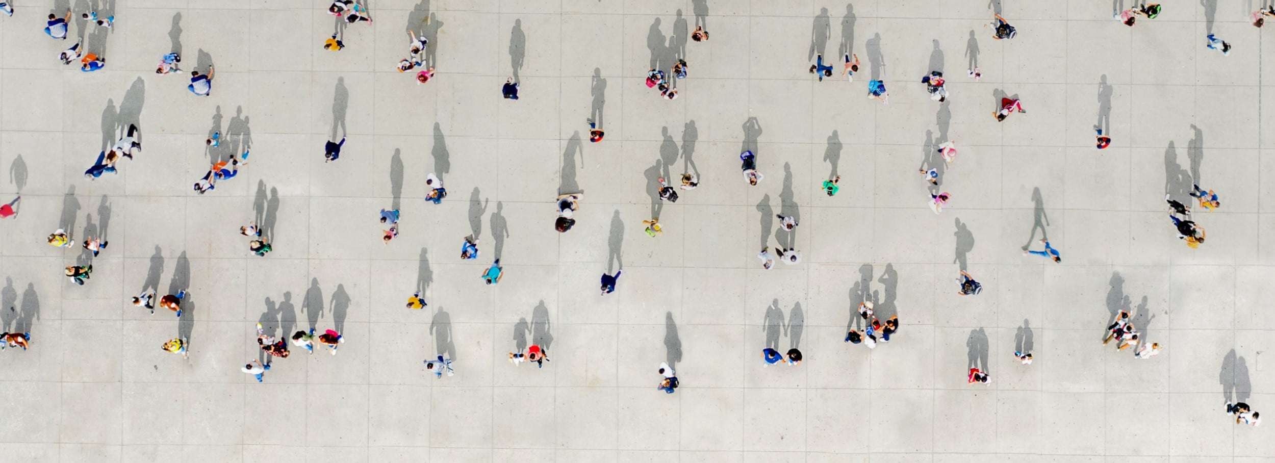Here are the facts banner people from above