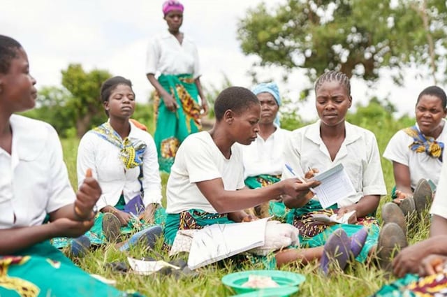 Women working in the tobacco fields