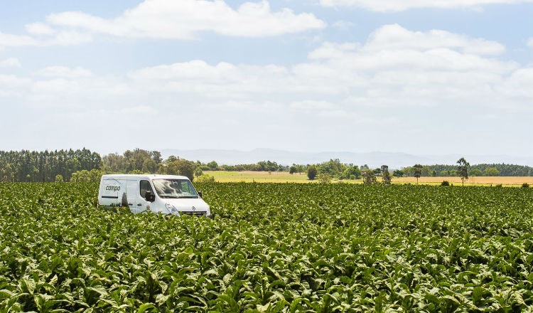 +campo van in field in Brazil