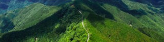img_smoke-free_japan_banner_3