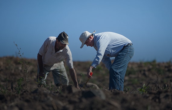 PMI Statement: Collaboration with the Danish Institute for Human Rights (DIHR) reaches conclusion 