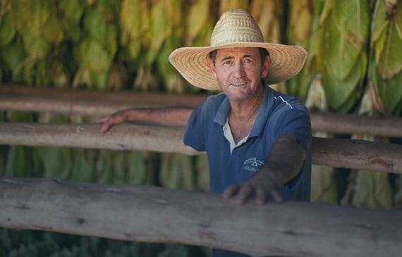 crop protection thumb