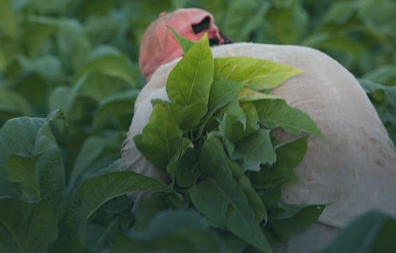 migrant workers thumb