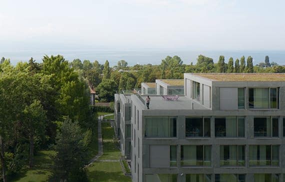 Board of Directors thumb