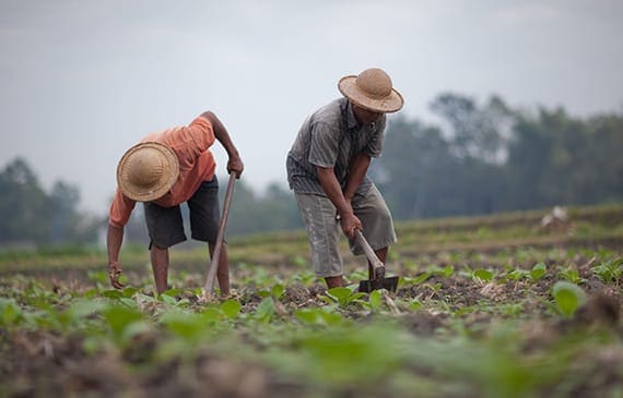 Philip Morris International welcomes Human Rights Watch report